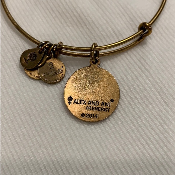 Alex and Ani Charm Bracelet - Picture 2 of 4